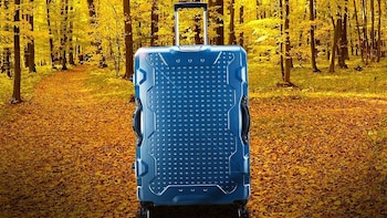 VIP Industries Q1 Results: Net Loss Widens To Rs 53.6 Crore As Raw Material Costs Hit Margins