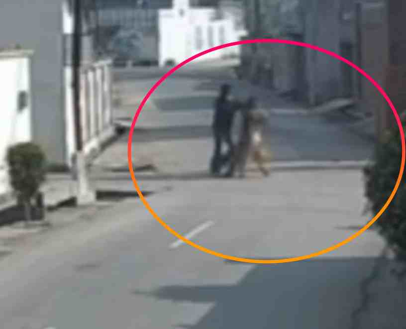 लुधियाना में दिनदहाड़े महिला से लूट... कानों की बालियां खींचकर ले गए बदमाश, CCTV में पूरी घटना कैद