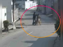 लुधियाना में दिनदहाड़े महिला से लूट... कानों की बालियां खींचकर ले गए बदमाश, CCTV में पूरी घटना कैद