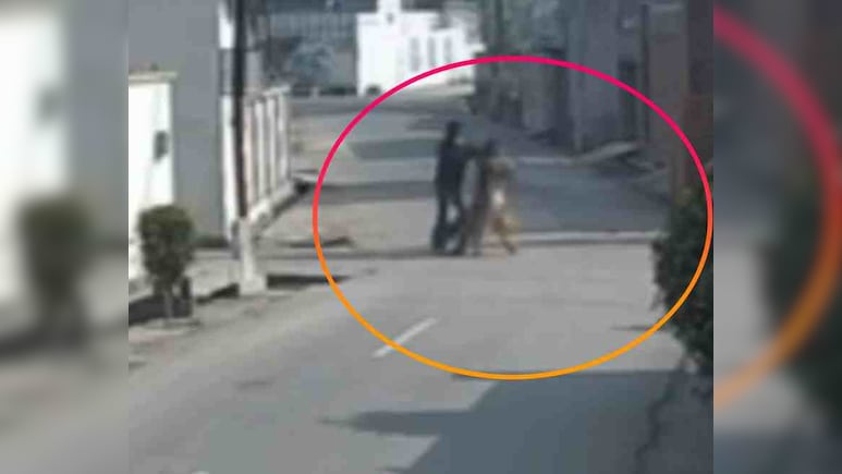 लुधियाना में दिनदहाड़े महिला से लूट... कानों की बालियां खींचकर ले गए बदमाश, CCTV में पूरी घटना कैद