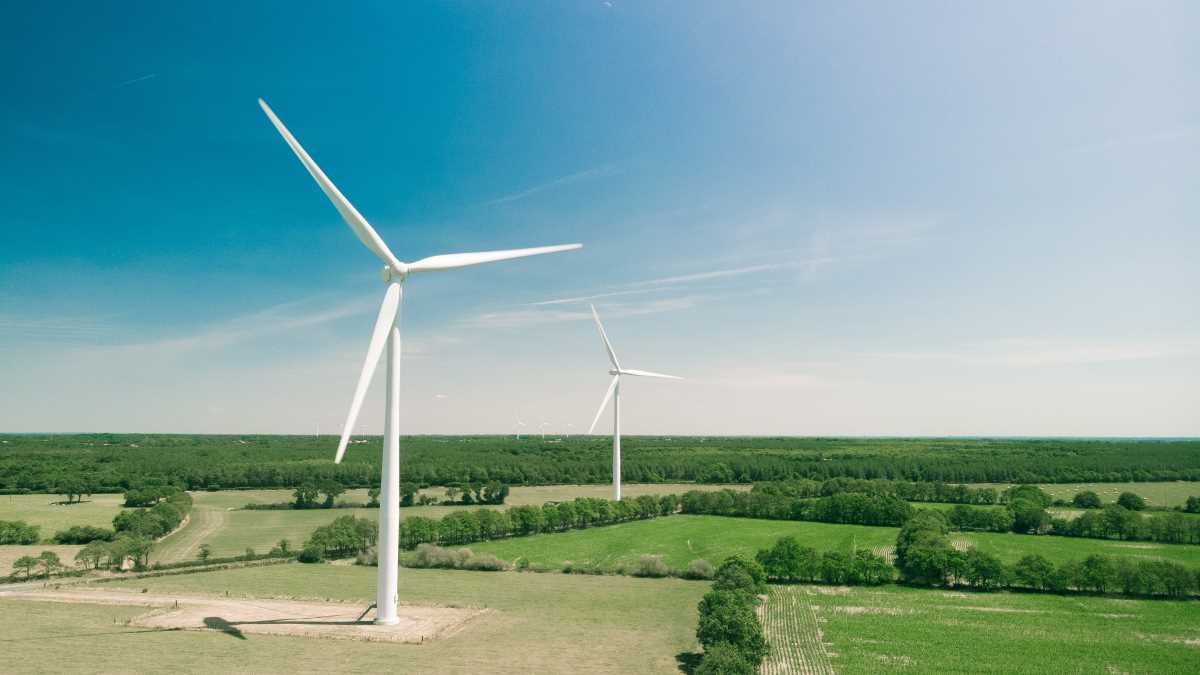 Andhra Pradesh Welcomes Investments In Solar And Wind Power: State Energy Minister
