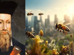 Nostradamus: 2026 मध्ये मृत्यू बनून येणार मधमाश्या? नास्त्रेदमसच्या त्या एका भविष्यवाणीने वाढवली जगाची धडधड