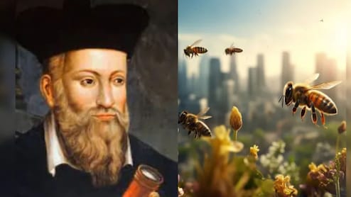 Nostradamus: 2026 मध्ये मृत्यू बनून येणार मधमाश्या? नास्त्रेदमसच्या त्या एका भविष्यवाणीने वाढवली जगाची धडधड
