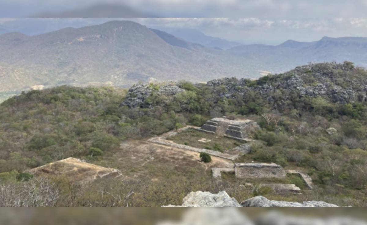 Latest and Breaking News on NDTV