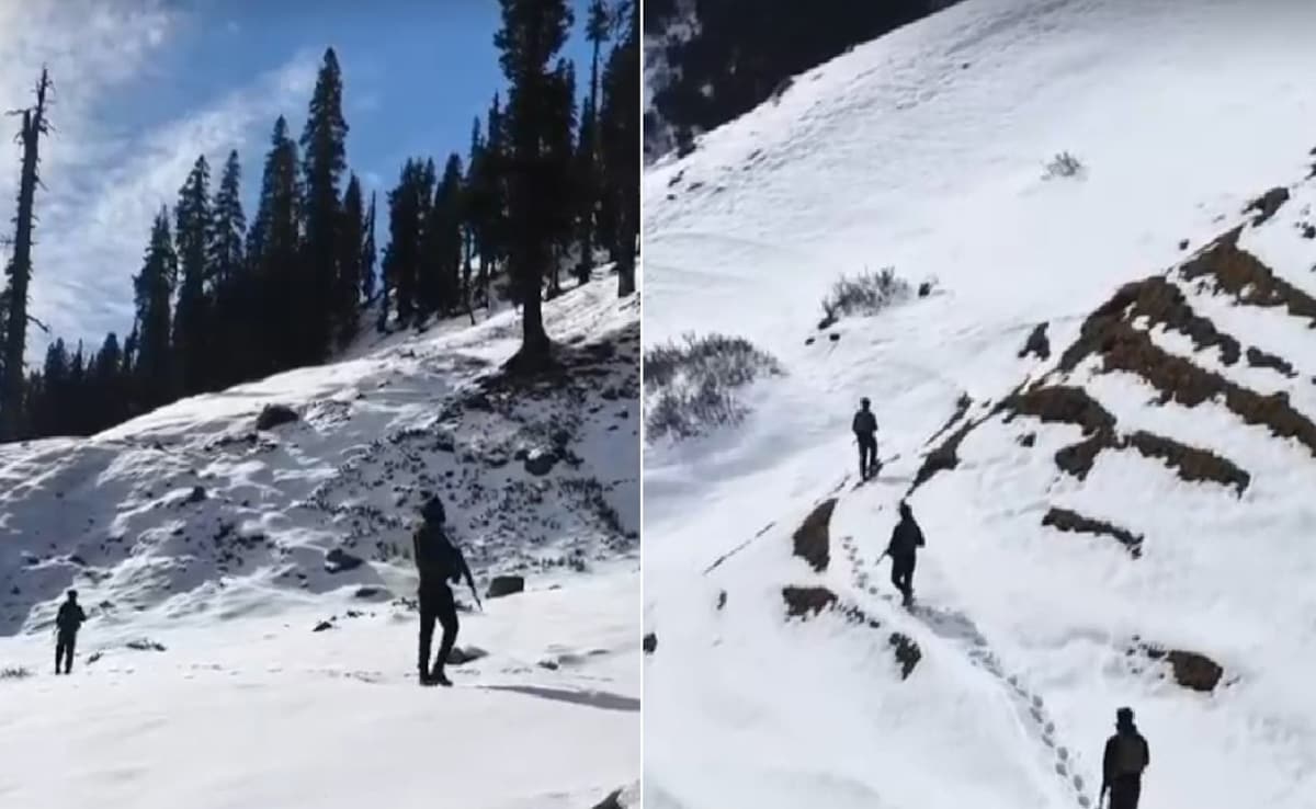 Latest and Breaking News on NDTV