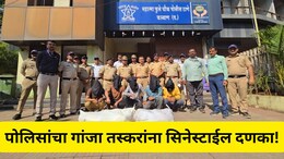 Kalyan News: 35 कोली गांजासह देशी कट्टा सापडला, पोलिसांचा तस्करांना सिनेस्टाईल दणका, 8 जणांना अटक, 6 फरार