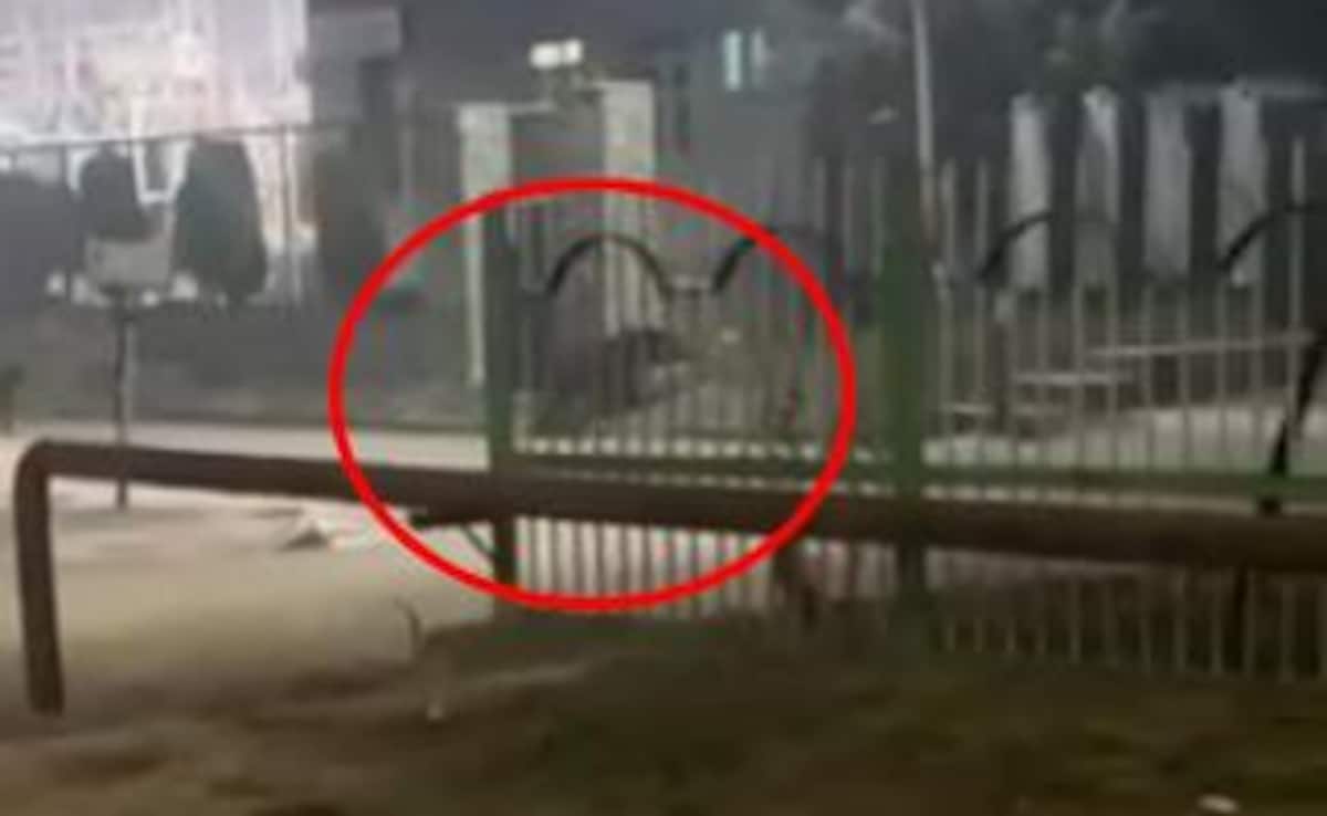 Latest and Breaking News on NDTV