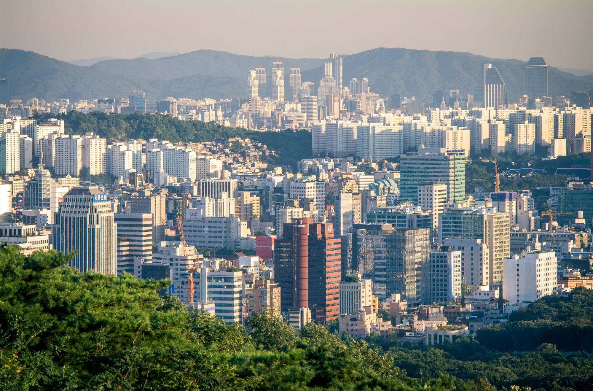 A Million People Bid On Just Three Apartments In Seoul&rsquo;s Gangnam
