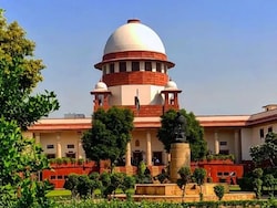 Stray Dogs To Aravallis: Supreme Court's 10 Big Rulings In 2025
