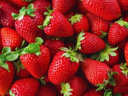 कोणत्या आजारावर स्ट्रॉबेरी पॉवरपॅक? हिवाळ्यात स्ट्रॉबेरी खाण्याचे जबरदस्त फायदे तुम्हाला माहीत आहे का?