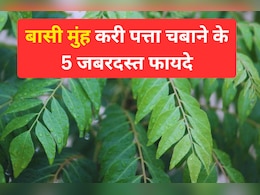 खाली पेट करी पत्ता चबाने के हैं 5 जबरदस्त फायदे, जानने के बाद चौक जाएँगे आप