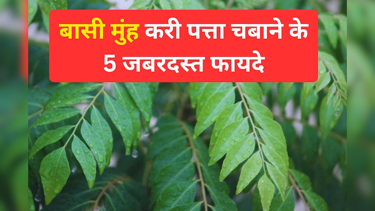 खाली पेट करी पत्ता चबाने के हैं 5 जबरदस्त फायदे, जानने के बाद चौक जाएँगे आप