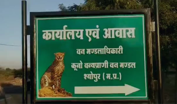 Kuno National Park Madhya Pradesh