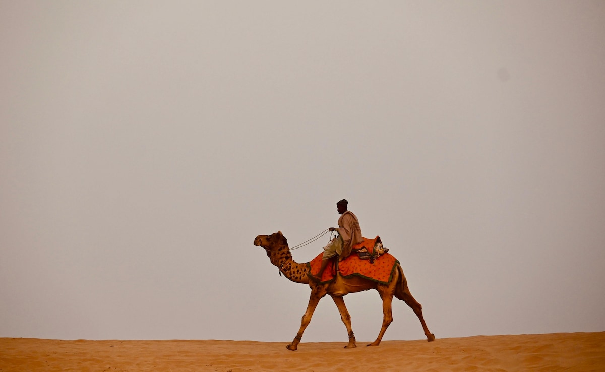 Latest and Breaking News on NDTV