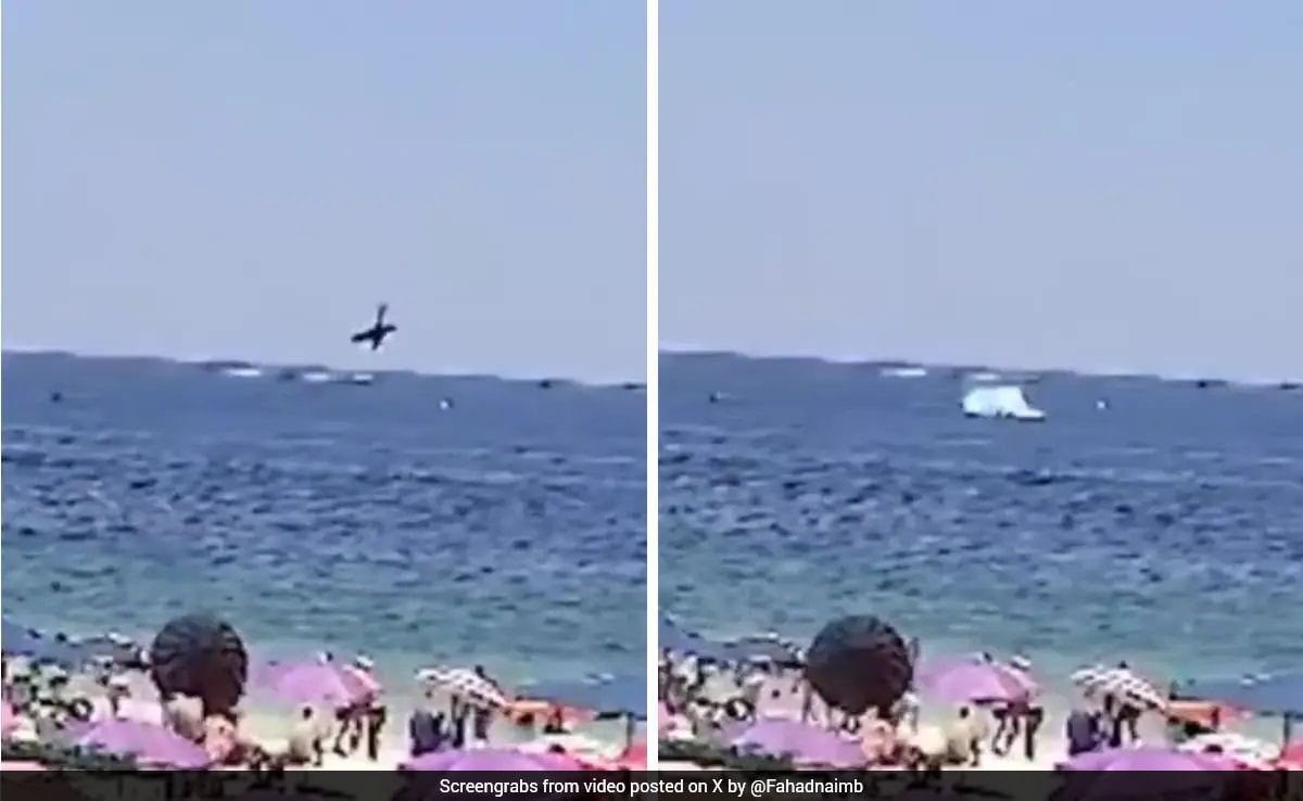 On Camera, Small Plane Crashes Into Sea In Brazil, Pilot Dies