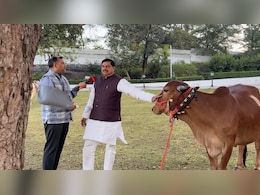 2 साल में कितना बदला मध्य प्रदेश: नक्सल मुक्त होने से विकास तक, NDTV से CM मोहन यादव ने बताईं ये उपलब्धियां