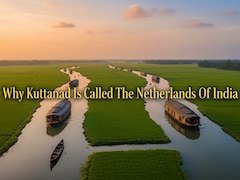 Why Kuttanad Is Called The Netherlands Of India: What To See, Eat And Experience