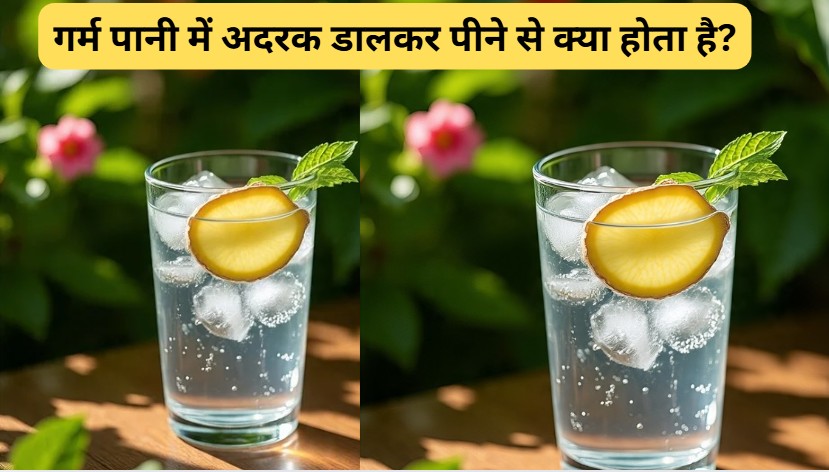 सुबह-सुबह खाली पेट अदरक का पानी पीने से क्या होता है? पूरा फायदा उठाने के लिए कैसे बनाएं अदरक पानी?