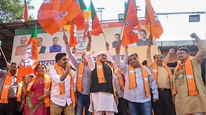 BJP Single-Largest Party, Alliance Sweeps Maharashtra Local Body Polls