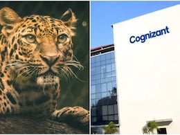 'तेंदुआ देख भागना मना है!' पुणे IT हब में दहशत, Cognizant ने कर्मचारियों के लिए बदले रात के नियम