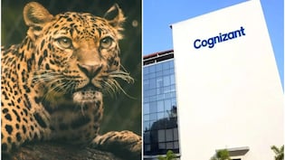 'तेंदुआ देख भागना मना है!' पुणे IT हब में दहशत, Cognizant ने कर्मचारियों के लिए बदले रात के नियम