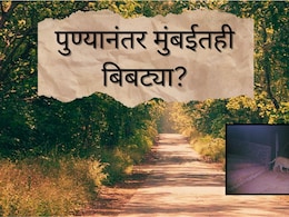 Mumbai News : पुण्यानंतर मुंबईतही बिबट्या? प्रसिद्ध उद्यानाच्या सीमाभागात वनविभागाच्या अधिकाऱ्यांकडून गस्त 