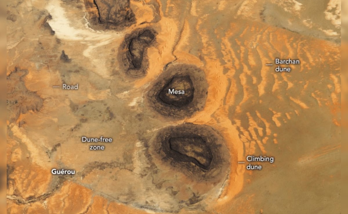 Latest and Breaking News on NDTV Latest and Breaking News on NDTV