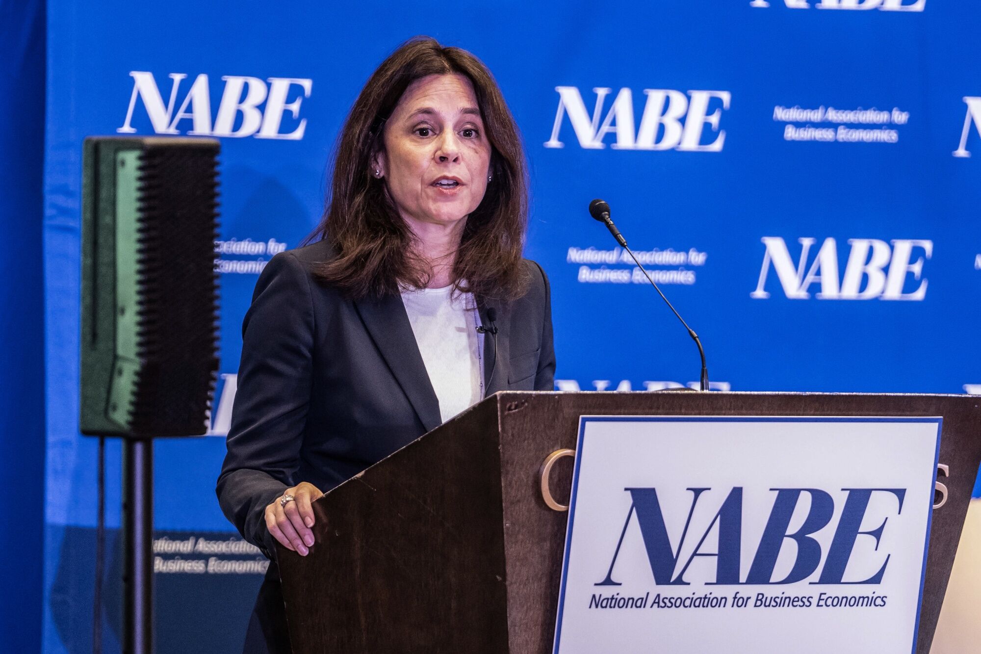 Logan Says Fed Should Slow Asset Runoff As Reverse Repo Dwindles