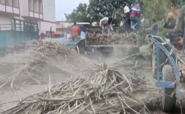 Sugar Exports Expected To Touch 90 Lakh Tonnes In 2021-22: Millers' Body