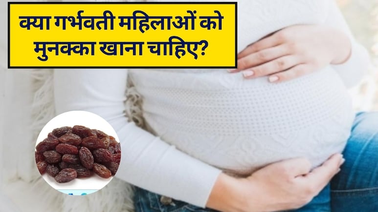 क्&zwj;या गर्भवती महिलाओं को मुनक्का खाना चाहिए? खून बढ़ाने के साथ हड्डियों को करेगा मजबूज, जानें मुनक्का खाने के फायदे