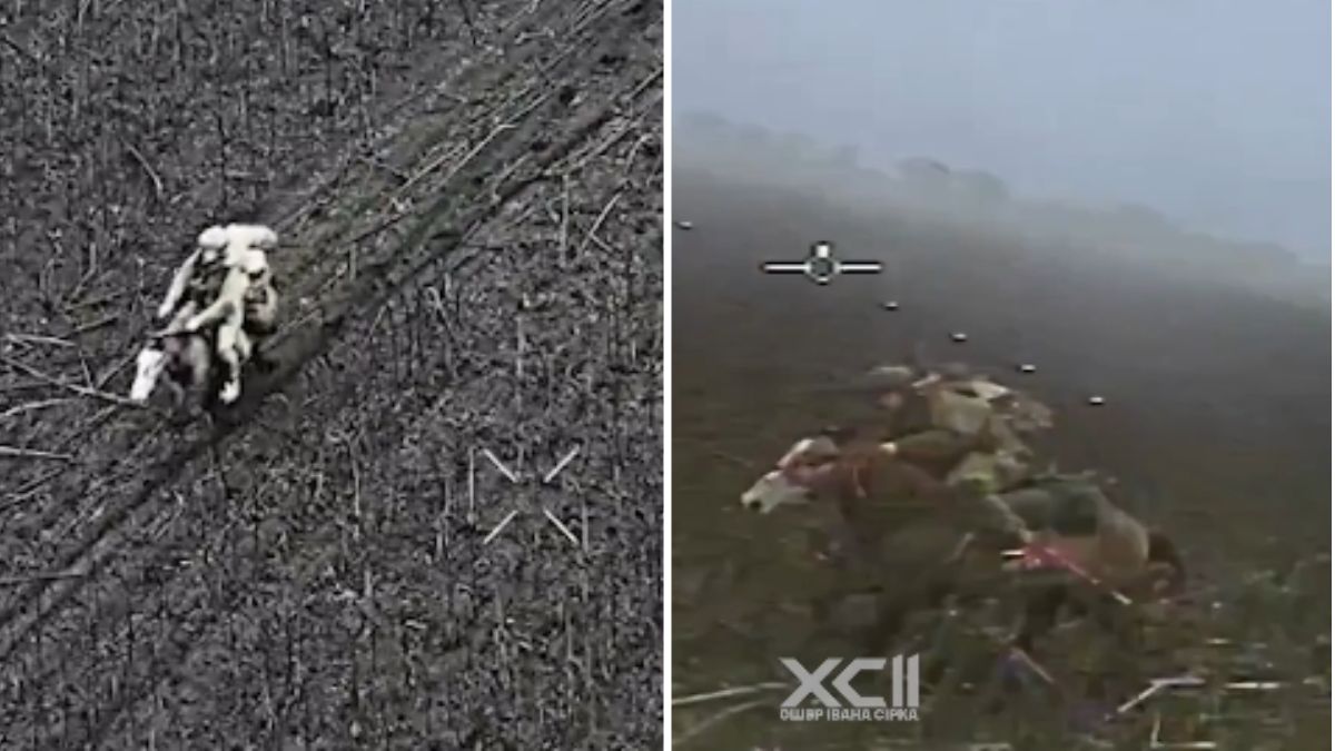 Video: Ukrainian Drone 'Locks In' On Russian Soldier On Horse, Blast Follows