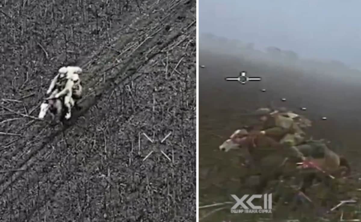 The Art of Baking: From Classic Bread to Artisan Pastries