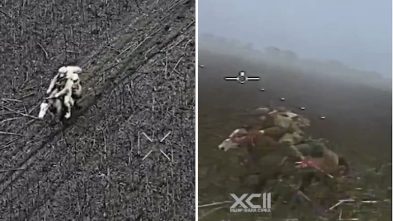 Video: Ukrainian Drone 'Locks In' On Russian Soldier On Horse, Blast Follows