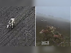 Video: Ukrainian Drone 'Locks In' On Russian Soldier On Horse, Blast Follows