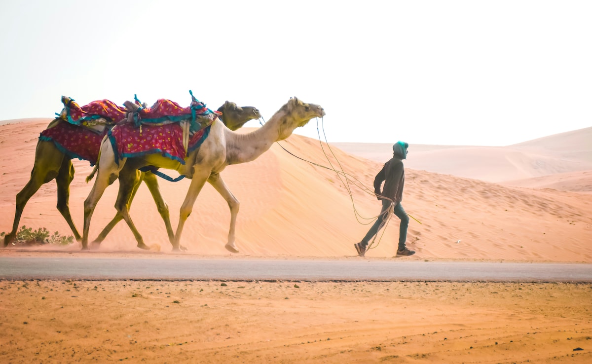 Latest and Breaking News on NDTV