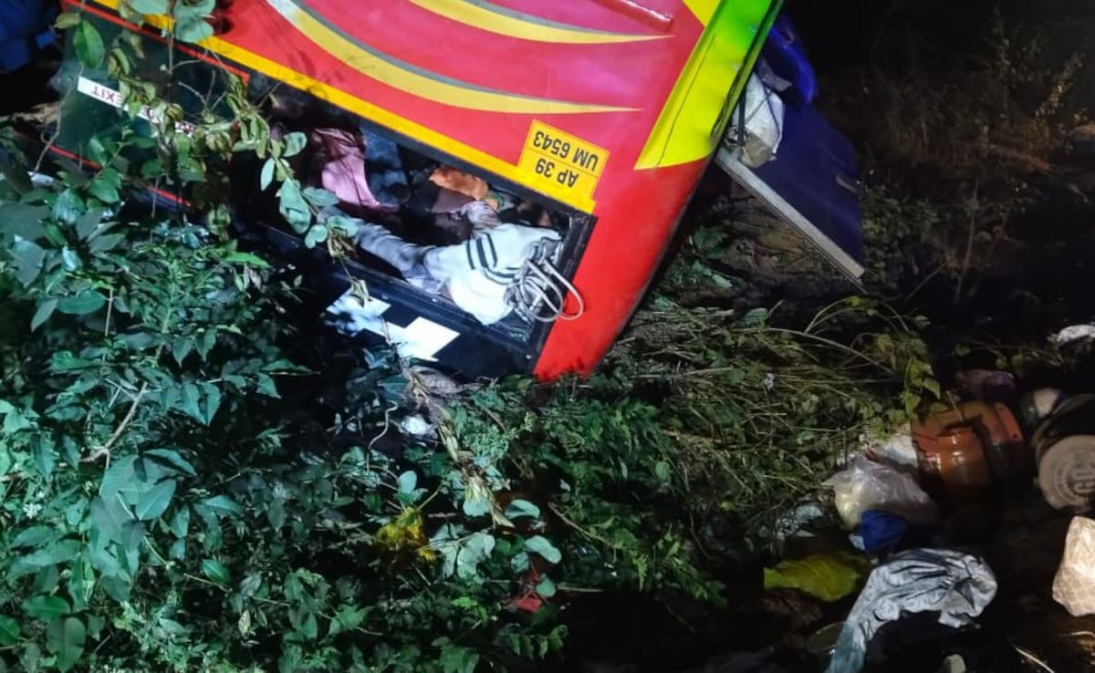 Andhra Bus With Devotees Crashes Into Ravine Due To Heavy Fog, 9 Dead