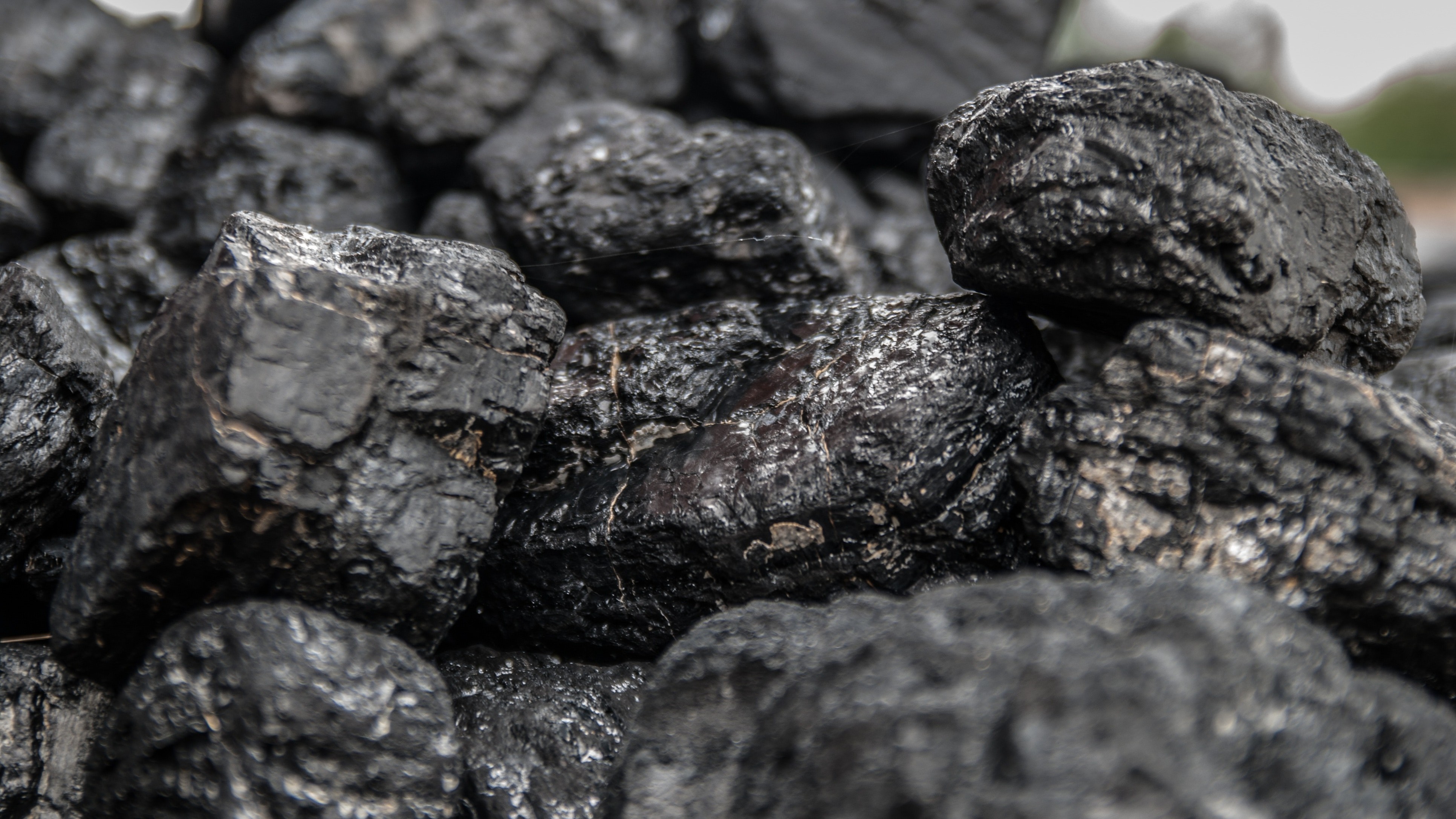 Bharat Coking Coal Q2 Results: PSU Coal India Arm Swings To Profit, Revenue Jumps 40% YoY
