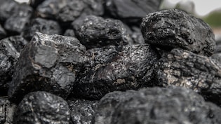 Bharat Coking Coal Q2 Results: PSU Coal India Arm Swings To Profit, Revenue Jumps 40% YoY
