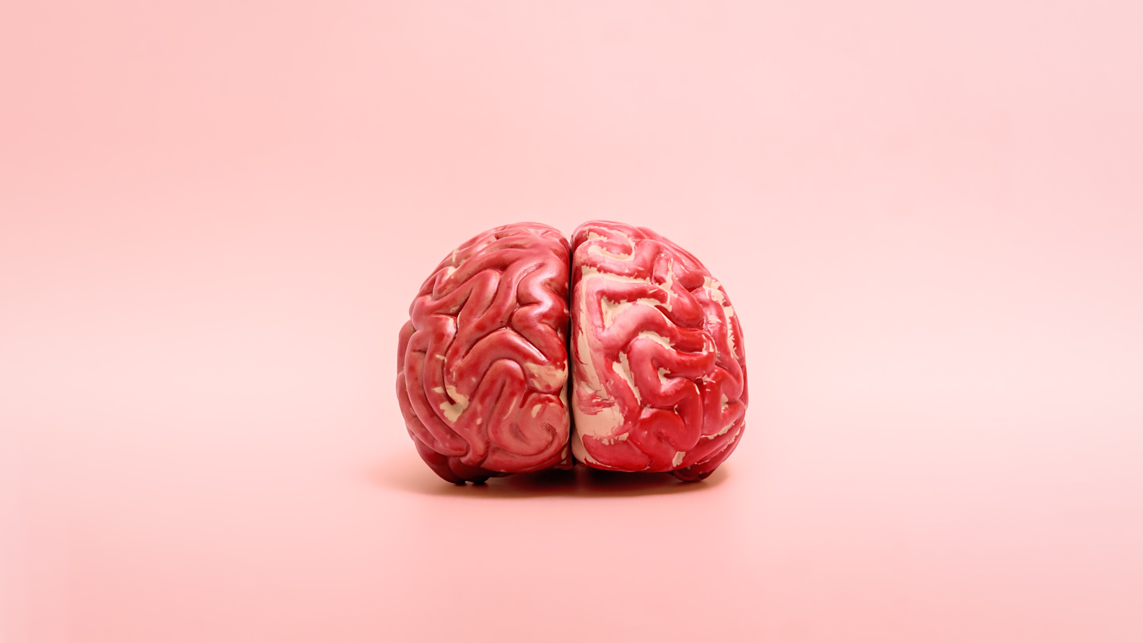 Autism Development In The Brain Linked To Gene Mutation: Research