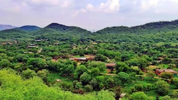 "Won't Allow": Supreme Court Rejects Haryana's Aravalli Zoo Safari Plan