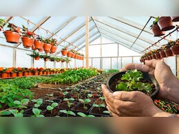 घर बैठे फ्री में मिलेंगे पौधे, सरकार कराएगी होम&zwj; डिलीवरी, इन 15 नर्सरी से ले सकते हैं पौधे