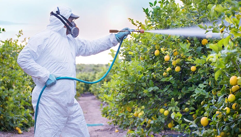 UPL Included In Dow Jones Sustainability World And Emerging Markets Indices