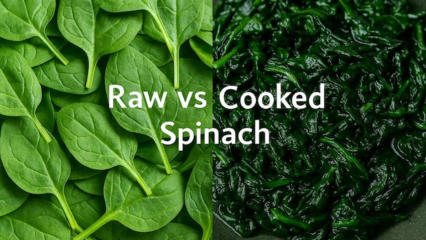 Raw vs Cooked Spinach: Which Is Healthier For Iron Intake