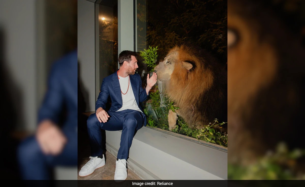 Latest and Breaking News on NDTV