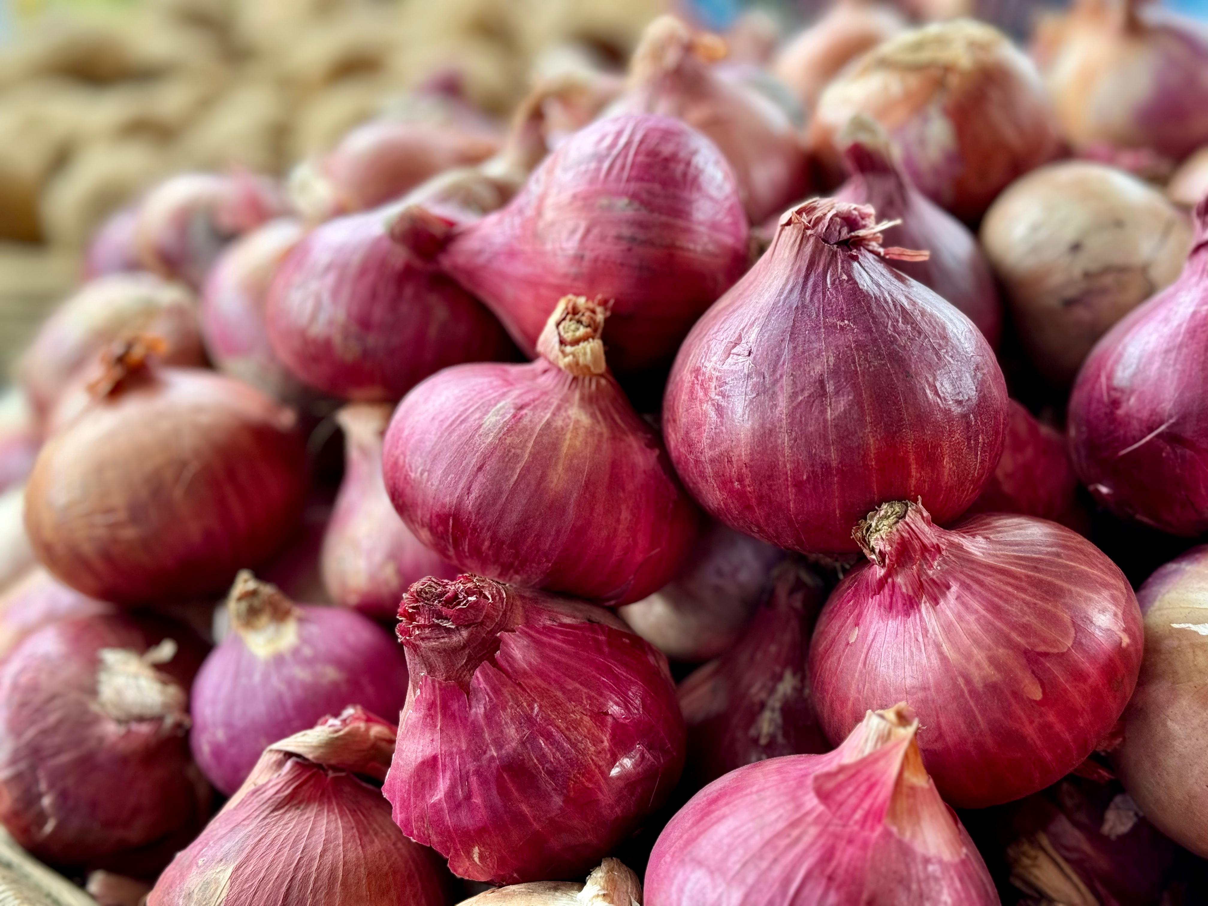 India Exports 2.6 Lakh Tonnes Of Onion Between April And July