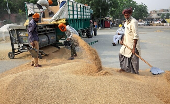 Confident Of Achieving Wheat Procurement Target Of 34.2 Million Tonne: Official