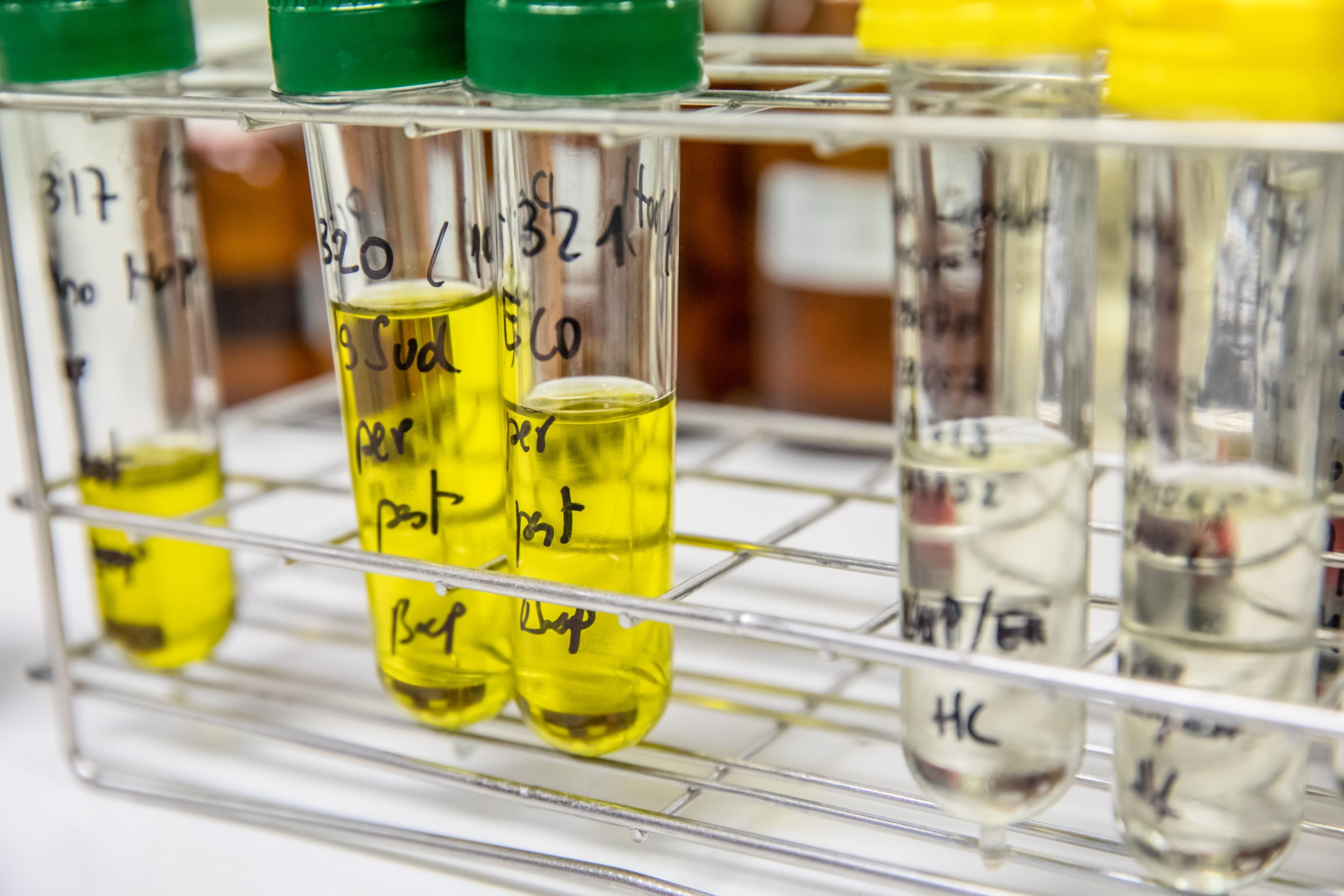 HDFC Securities: Indian Speciality Chemical Sector - Evolution To Revolution