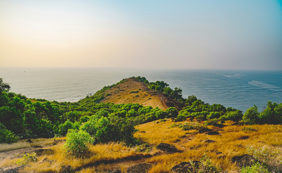 Latest and Breaking News on NDTV