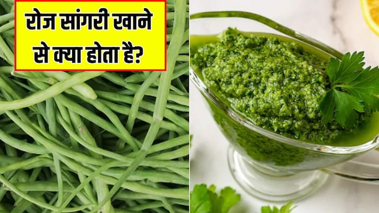 सर्दियों में रोज सांगरी खाने से क्या होता है? न्यूट्रिशनिस्ट ने बताया सांगरी की सब्जी के क्या फायदे हैं
