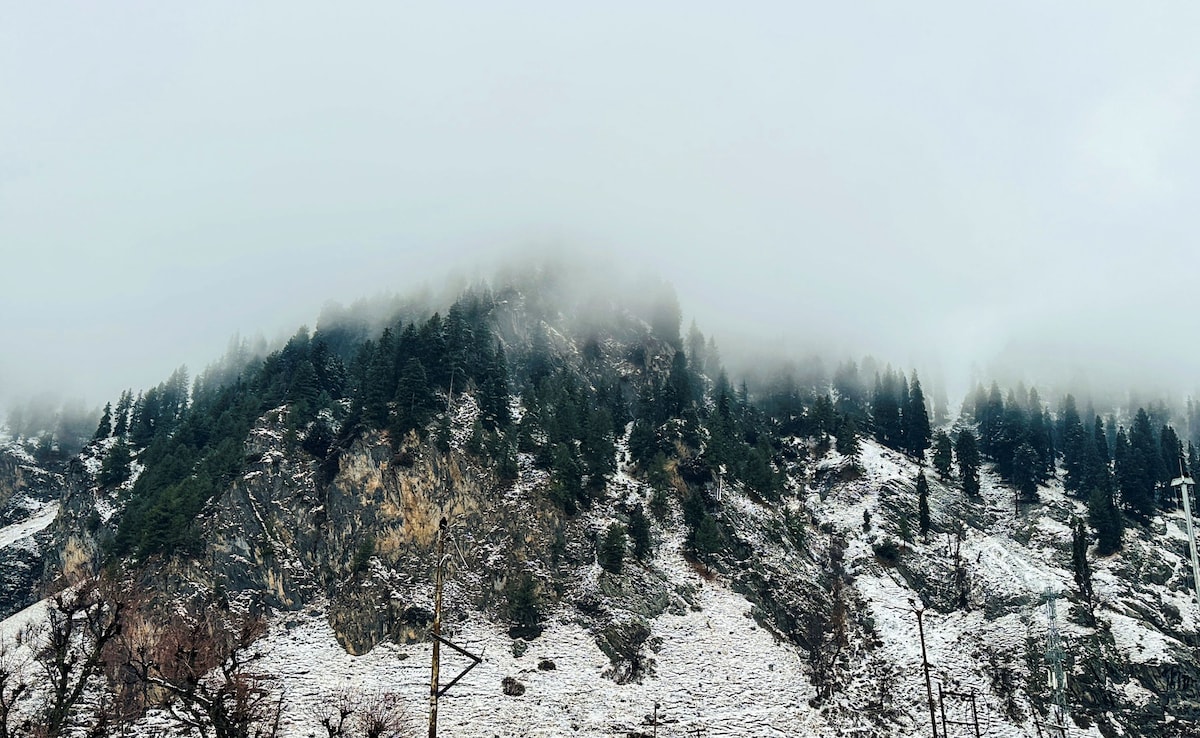 Latest and Breaking News on NDTV